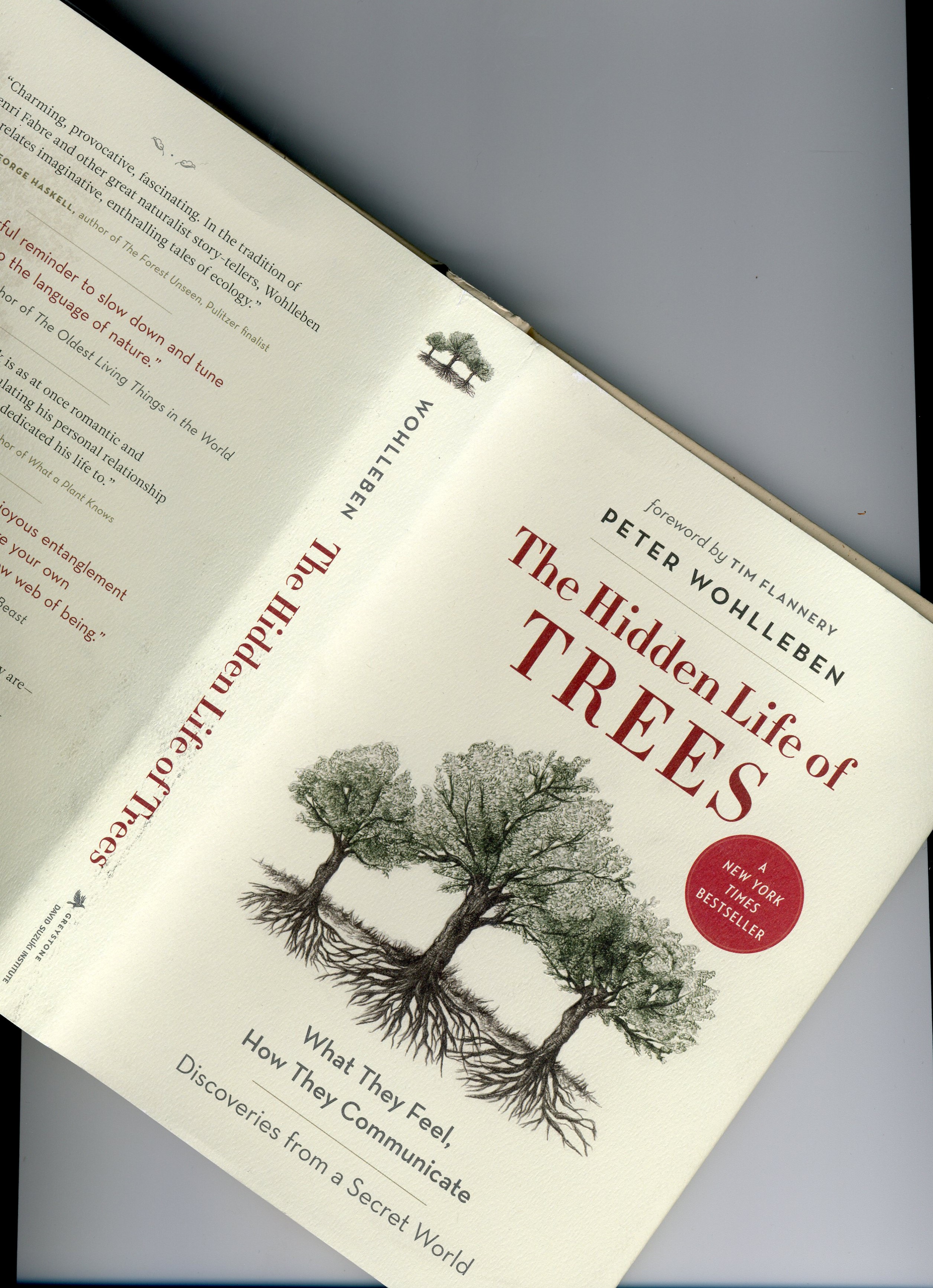 Book 11 In 2018 “the Hidden Life Of Trees” By Peter Wohlleben Lnb